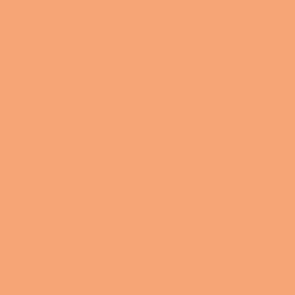 305616F-Vision.jpg