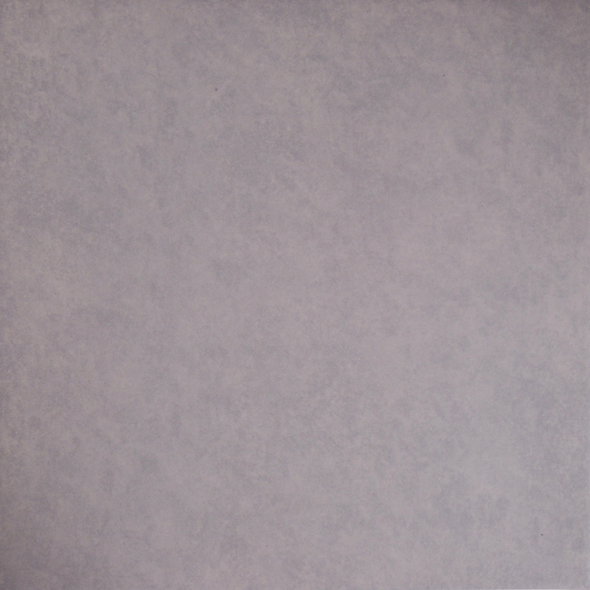 454536.jpg
