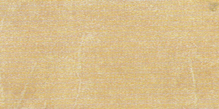 306093.jpg