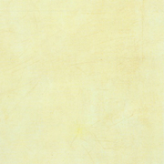 303062-Stucchi-s.jpg